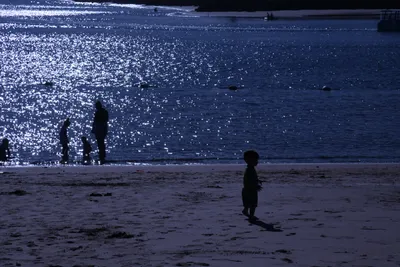 DSC_0840 (Large).JPG